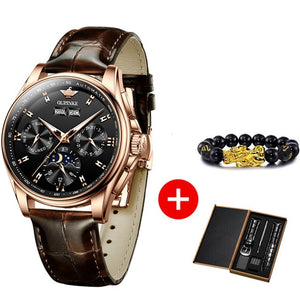 Open image in slideshow, OUPINKE Men Mechanical Watch Luxury Automatic Watch
